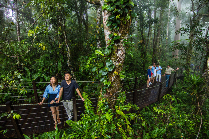 【阿凡达之地】库兰达热带雨林一日游，中文导游，凯恩斯出发！价格：480澳元/团